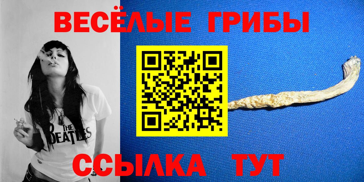 Галлюциногенные грибы Psilocybine cubensis  Галлюциногенные грибы GOLDEN TEACHER  Екатеринбург 