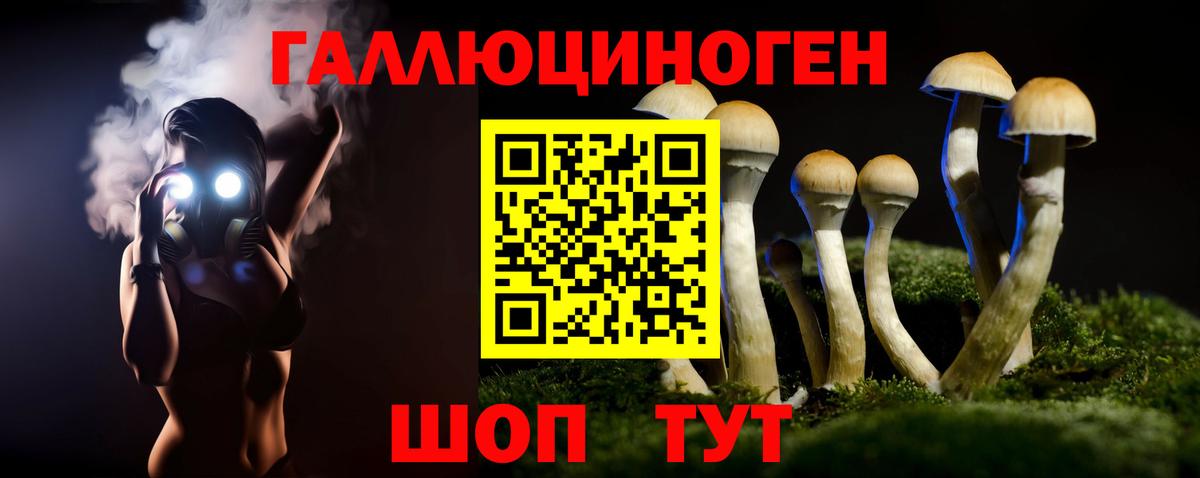 Екатеринбург  Галлюциногенные грибы Psilocybine cubensis  Вход с VPN 