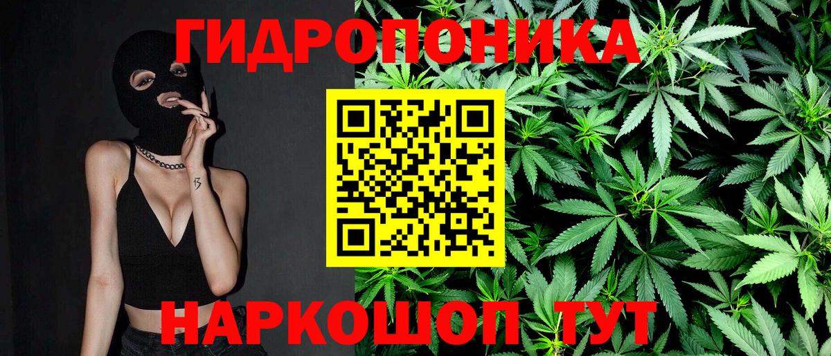 Конопля конопля Екатеринбург